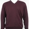 Bassiri V Neck Men's Sweater - Solid Pattern Plum #627