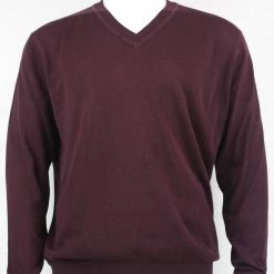 Bassiri V Neck Men's Sweater - Solid Pattern Plum #627