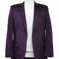Bassiri Two Button Single Breasted Men's Blazer - Solid Pattern Eggplant #J 1042
